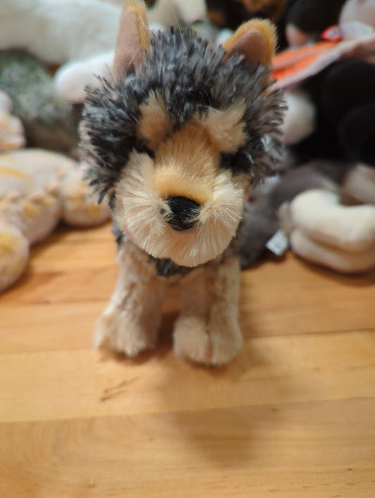 Yonkers Yorkie