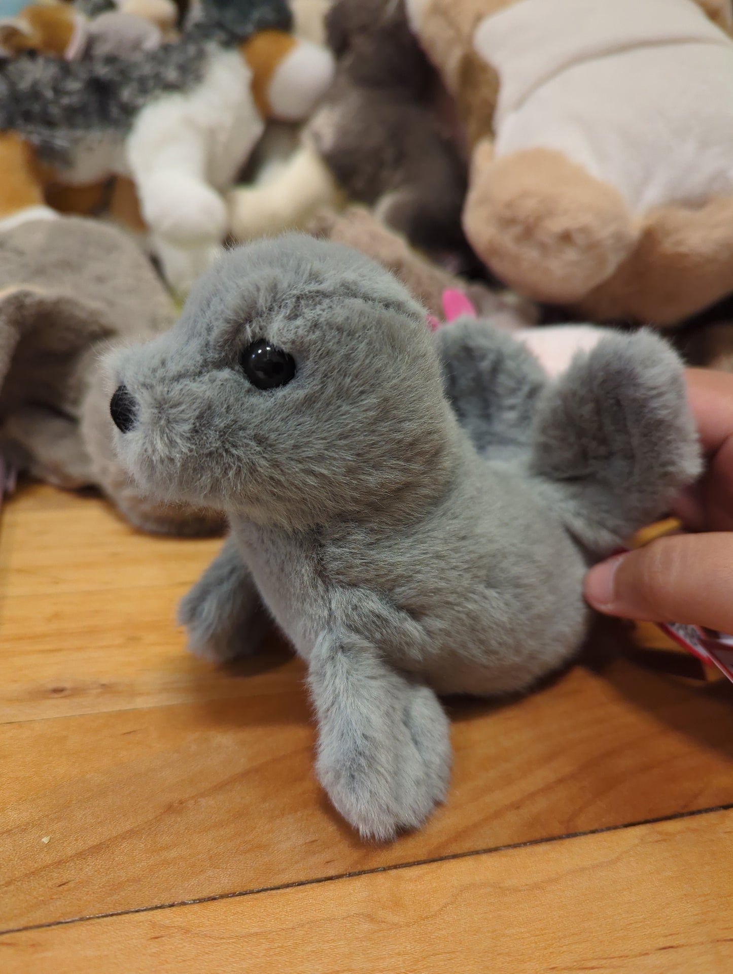 Lil' Baby Seal