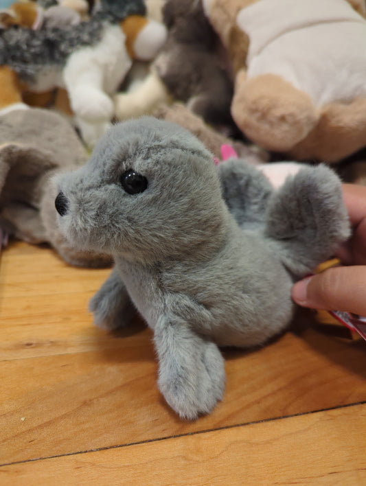 Lil' Baby Seal