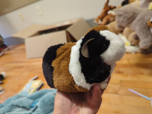 Pippin Guinea Pig