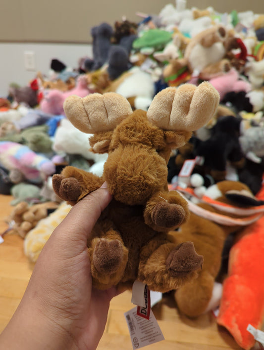 Lil Baby Moose