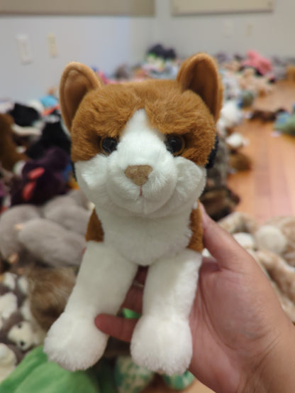 Patches Calico Cat