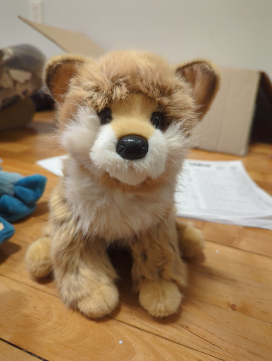 Dove Pomsky