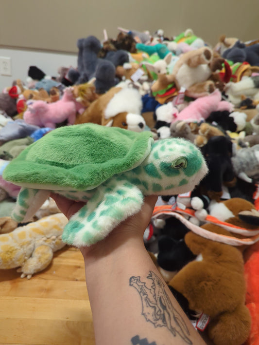 Drift Sea Turtle
