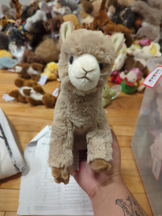 Pete Alpaca