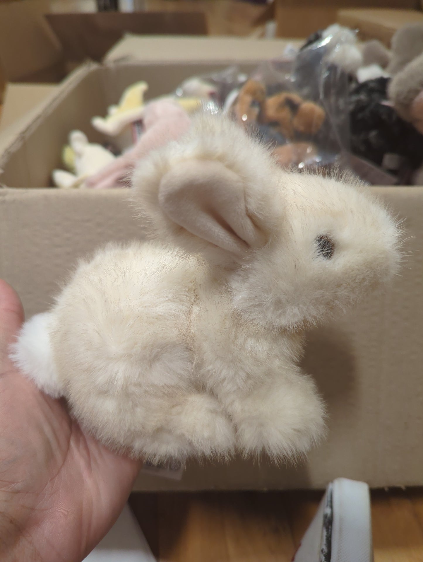 Muffin crouching bunny