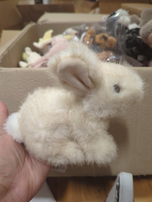 Muffin crouching bunny
