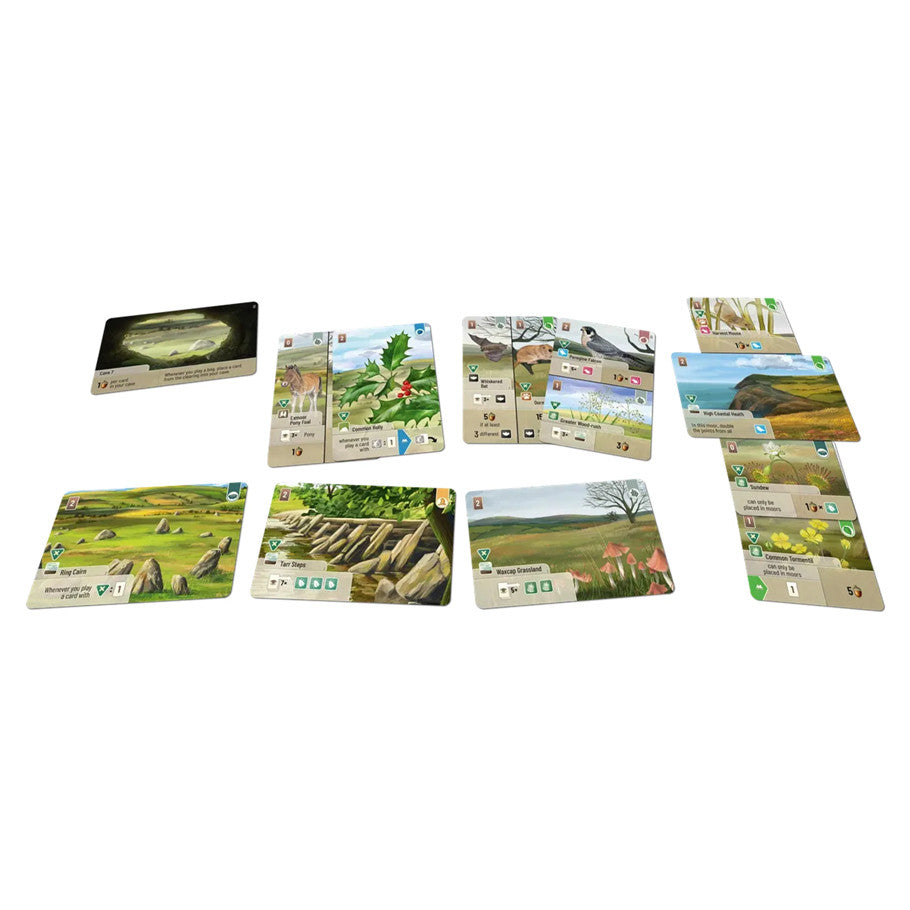 Forest Shuffle: Dartmoor: Exmoor Expansion