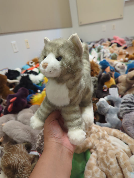 Zipper Gray Tabby Cat