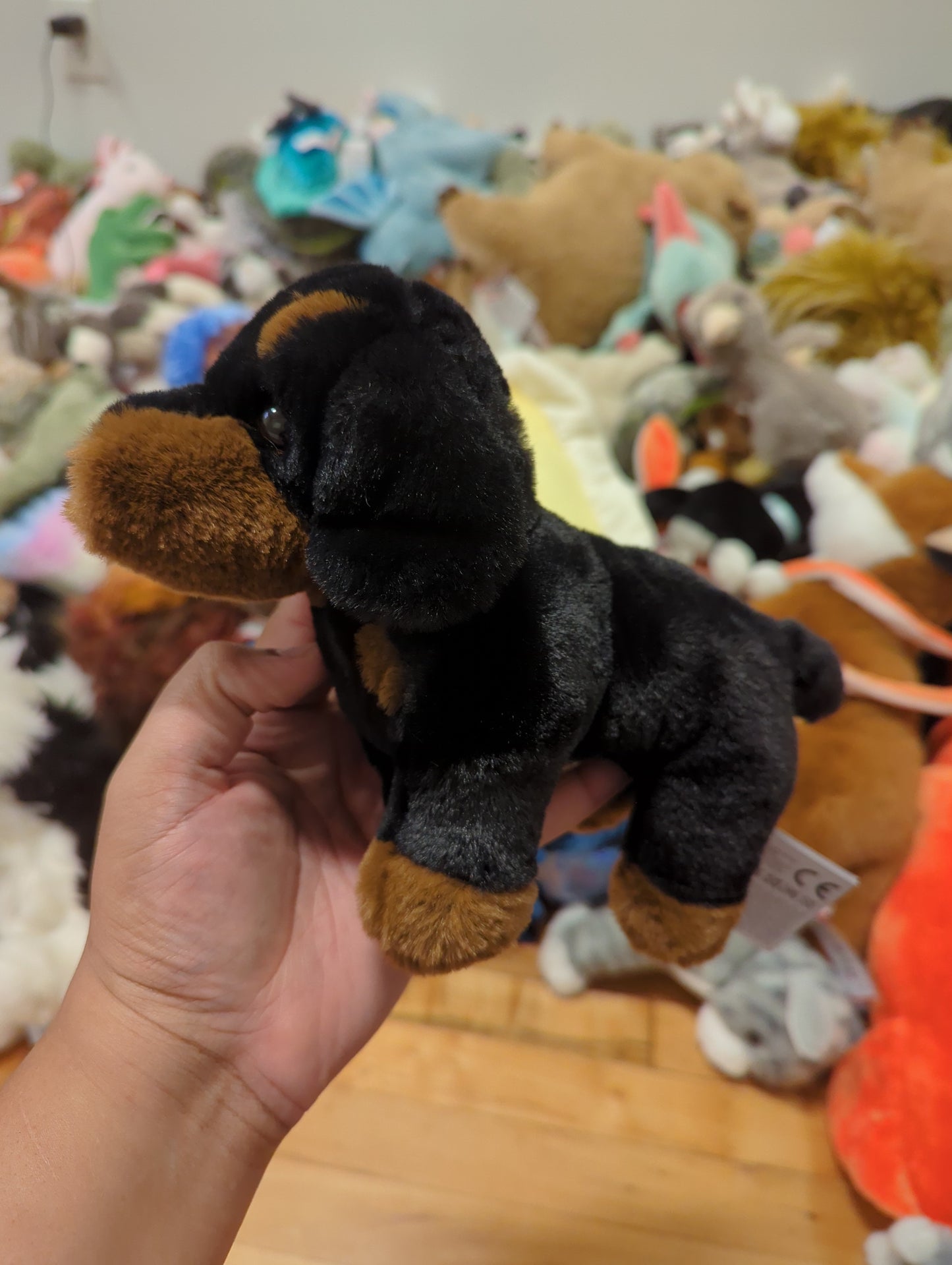 Dottie Dachshund Mini Soft