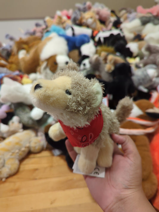 Trickster Coyote w/Red Bandana