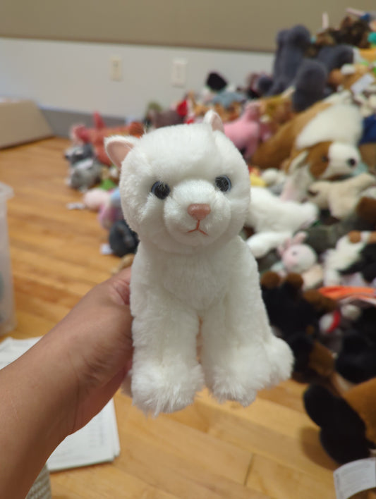Winnie Cat Mini Soft