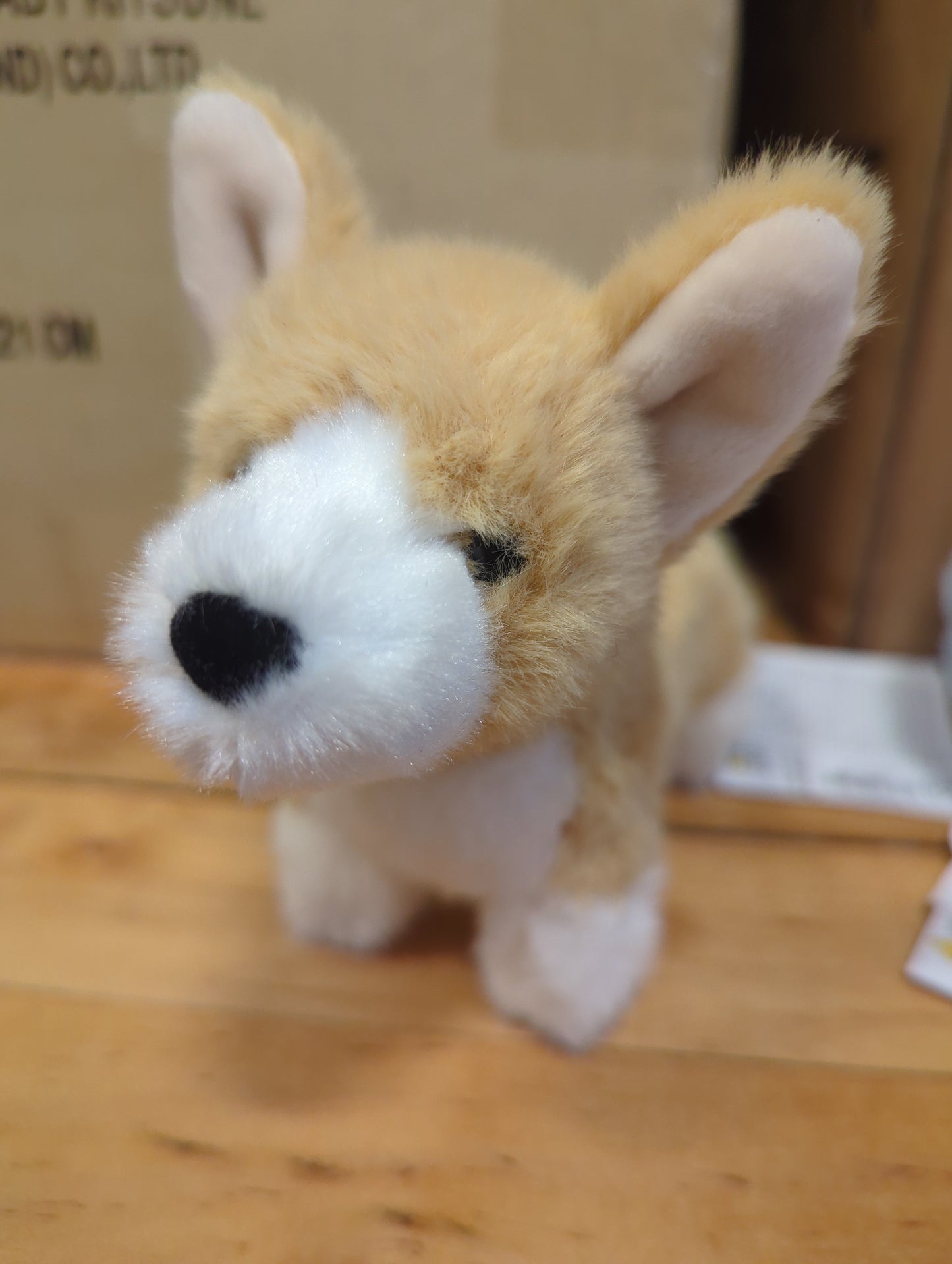 Corgi plush toy bad charm
