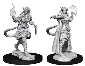 D&D: Nolzur's Marvelous Minis (Unpainted)