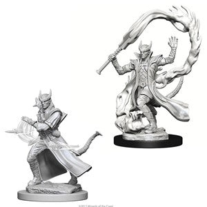 D&D: Nolzur's Marvelous Minis (Unpainted)