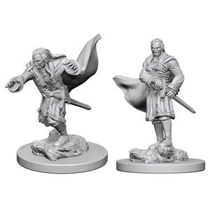 D&D: Nolzur's Marvelous Minis (Unpainted)