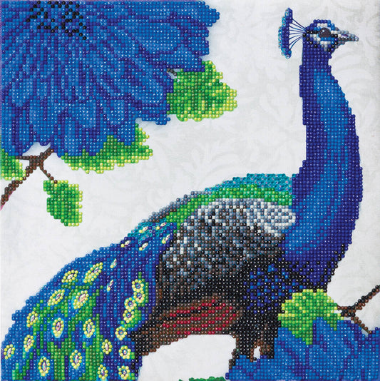Medium (11.8" x 11.8") Crystal Art Kit - Flowering Peacock